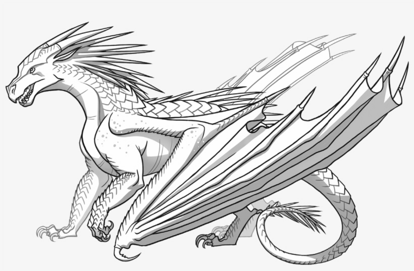 dragon-drawing